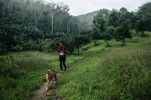 BIB: 
                            <button type="button" onclick="openModal(26448937)" class="btn btn-primary btn-sm float-right btn-popup" data-toggle="modal" data-target=".modal-high-quality">
                        <i class="fas fa-shopping-cart"></i> Add to Cart
                    </button>
                                            <button type="button" onclick="isThisMe(26448937, true)" class="btn btn-success btn-sm float-right btn-popup btn-isme hidden" data-toggle="tooltip" data-placement="bottom" title="นี่คือรูปของคุณใช่ไหม คลิกที่นี่เพื่อเอาเข้าอัลบั้ม">
                        <i class="fas fa-plus"></i> Add to album
                    </button>
                    <button type="button" onclick="isThisMe(26448937, false)" class="btn btn-warning btn-sm float-right btn-popup btn-isnotme hidden">
                        <i class="fas fa-ban"></i> Remove from album
                    </button>